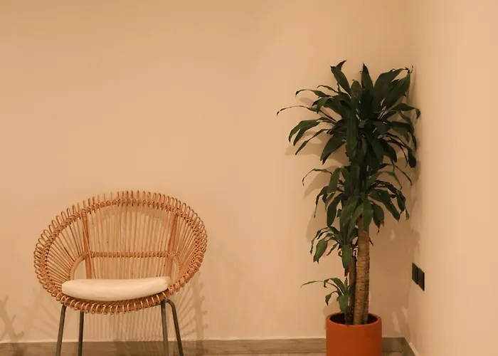 Macondo Quinta Avenida By Ruha Hotel
