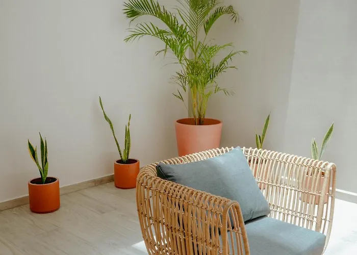 Macondo Quinta Avenida By Ruha Hotel